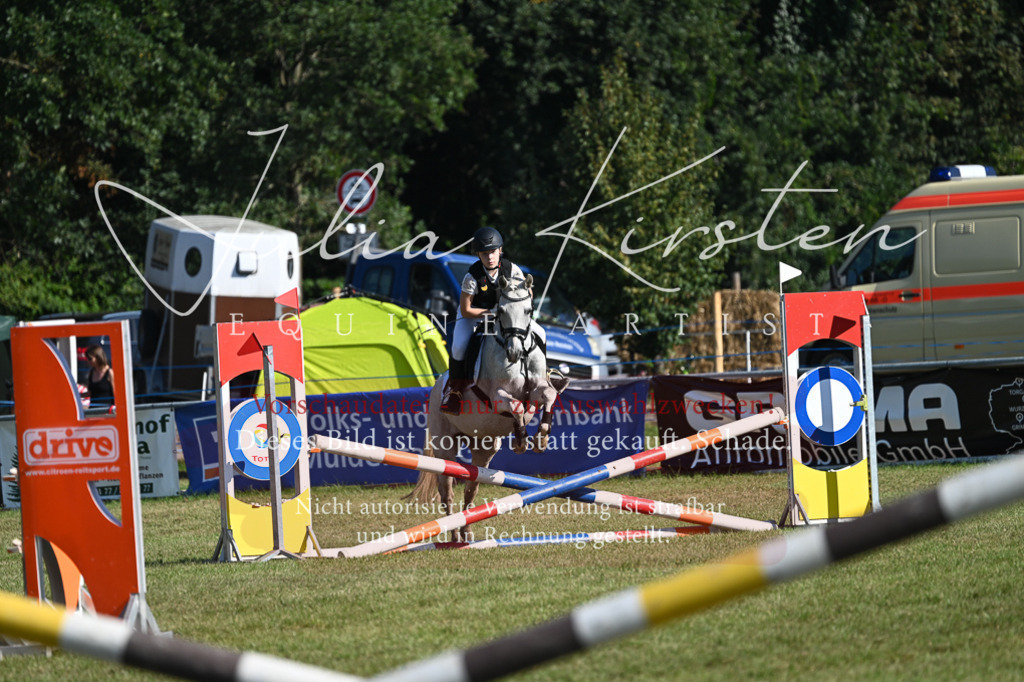 DSC_5261 | Pferde- und Turnierfotografie in Westsachsen. Pferdeportraits, Auftragszeichnungen und intuitive Kunst.