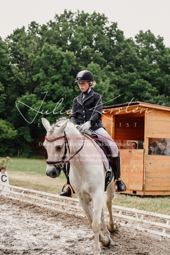 DSC_9432 | Pferde- und Turnierfotografie in Westsachsen. Pferdeportraits, Auftragszeichnungen und intuitive Kunst.