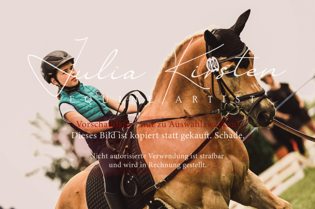 DSC_5343 | Pferde- und Turnierfotografie in Westsachsen. Pferdeportraits, Auftragszeichnungen und intuitive Kunst.