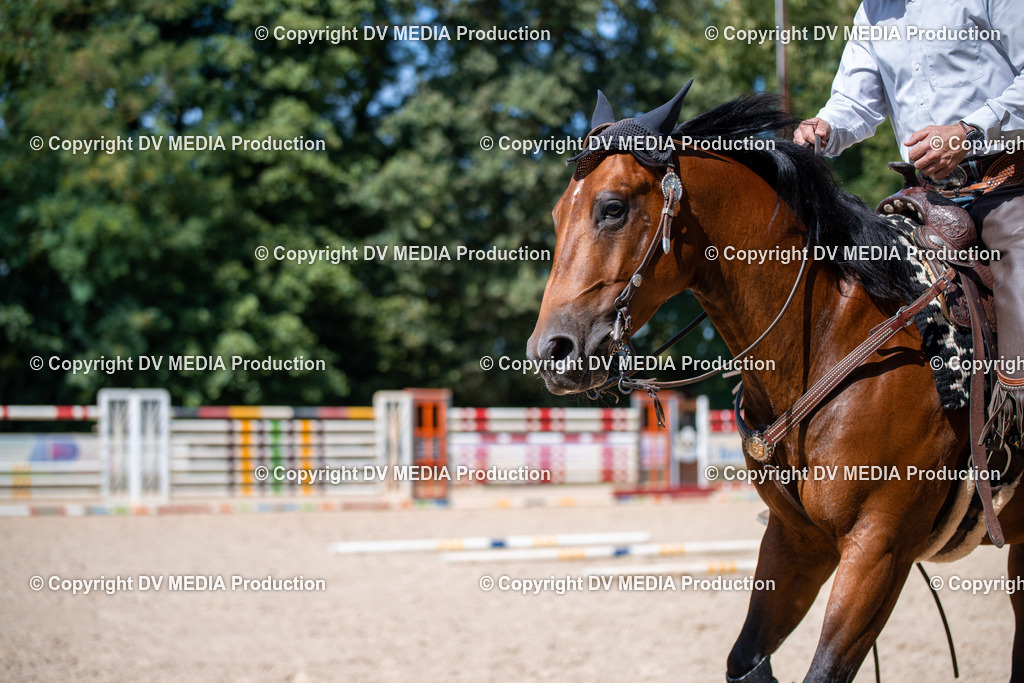 ZS1_1665 | dv-media-shop - Realisiert mit Pictrs.com