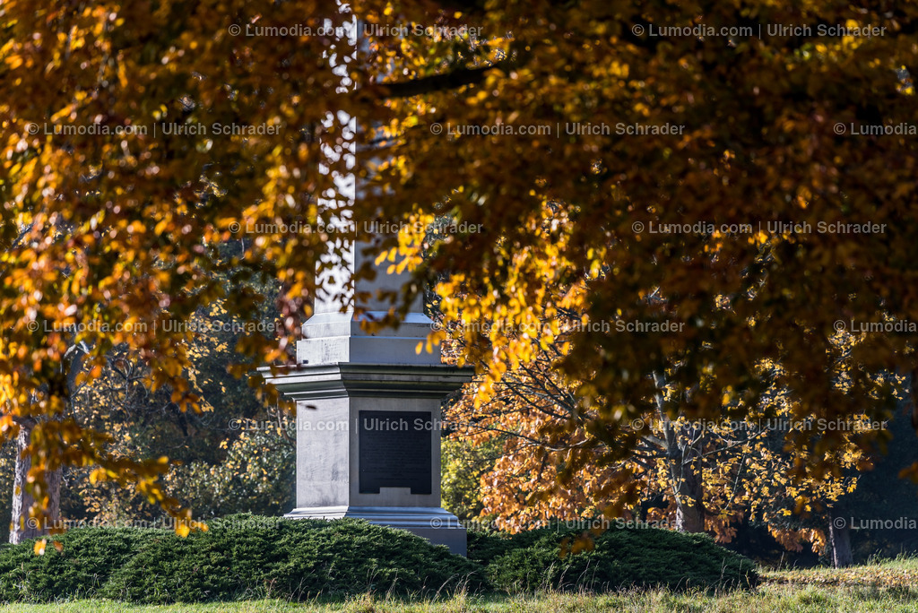 10049-4563 - Landschaftspark Degenershausen | Stockfoto und Bilderpool mit Bildmaterial aus Deutschland, dem Harz, Halberstadt, Quedlinburg, Wernigerode und weltweit. Qualitativ hochwertige und professionelle Fotos anschauen und kaufen. - Realisiert mit Pictrs.com