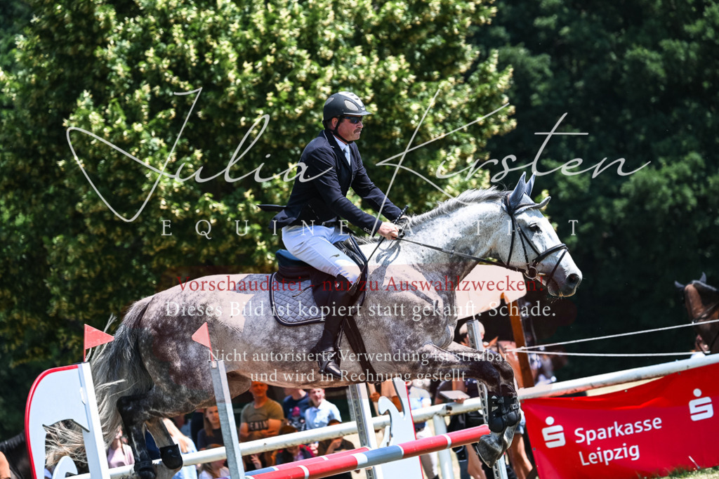DSC_0030 | Pferde- und Turnierfotografie in Westsachsen. Pferdeportraits, Auftragszeichnungen und intuitive Kunst.