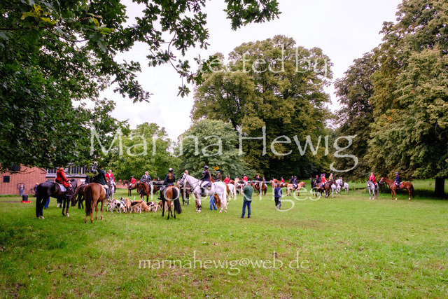 Jagd Perdoel 26 Fuji-9707_MarinaHewig | Fotografie, FotoArt, PferdesportArt, Pferdesportfotografie, Landschaftsfotografie, Reisefotografie, Reise, Pferde - Realisiert mit Pictrs.com