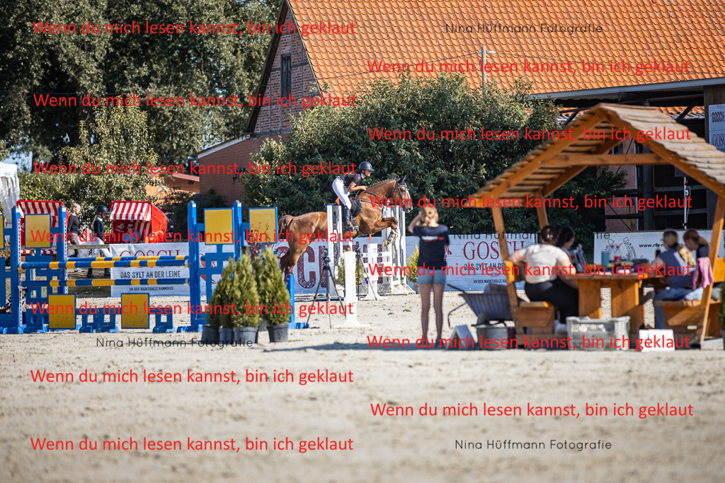 BK1A7321 | Turnierbilder Turnierfotos Nina Hüffmann Turnierfotografie Pferdefotografie Tierzeichnung Haustierzeichnung Pferdezeichnung Hundezeichnung Videograf  - Realisiert mit Pictrs.com