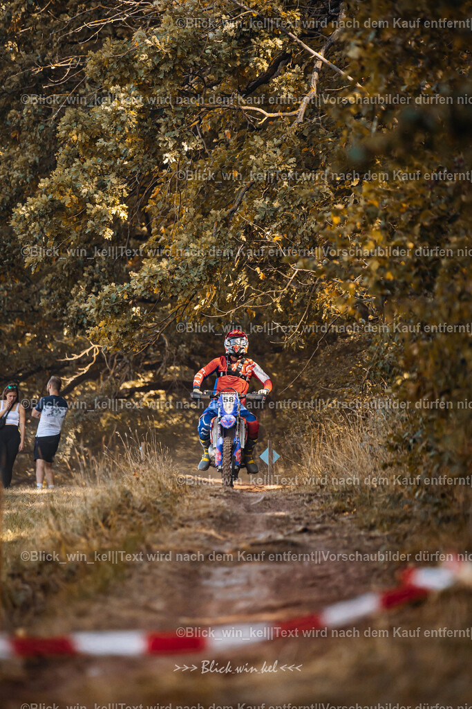 E68A6354 | blick_win_kel