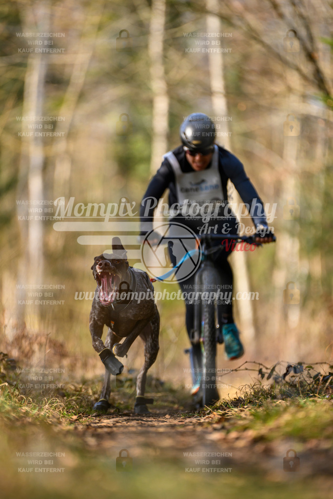 MompixPhotography_6ReiatRennen2026_SO_Scooter-11 | PayLife