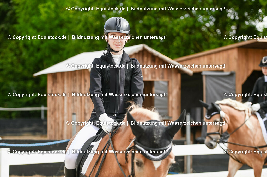 20230716_10-1_Reiter-WB Schritt - Trab - Galopp_0019 | equistock