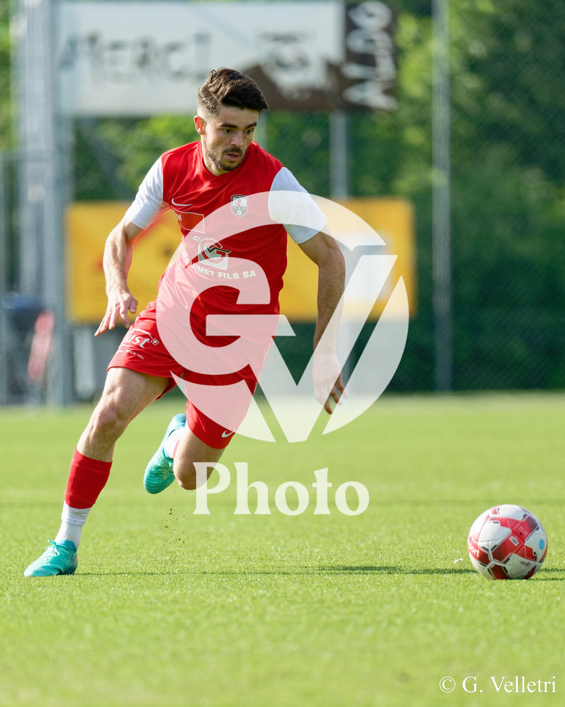 DSC_5908 | Velletri Photo