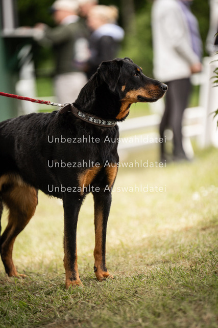 Bad_Meinberg_09850 | saradresslerfotografie - Realisiert mit Pictrs.com