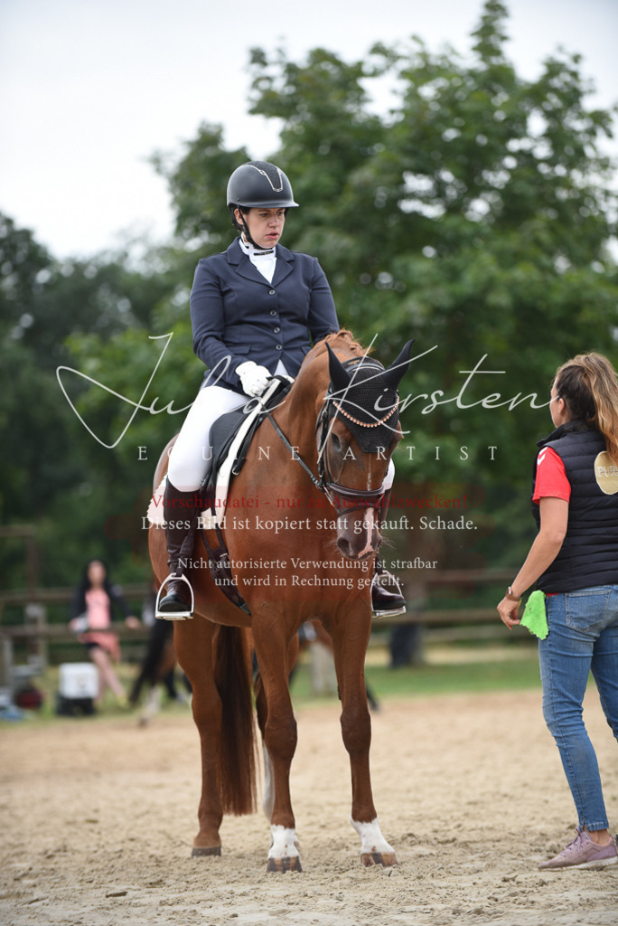 DSC_8323 | Pferde- und Turnierfotografie in Westsachsen. Pferdeportraits, Auftragszeichnungen und intuitive Kunst.