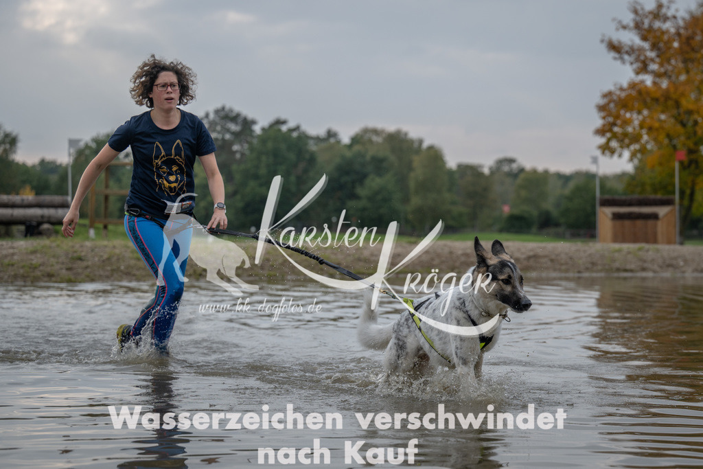 1521_ZZ93373 | kk-dogfotos