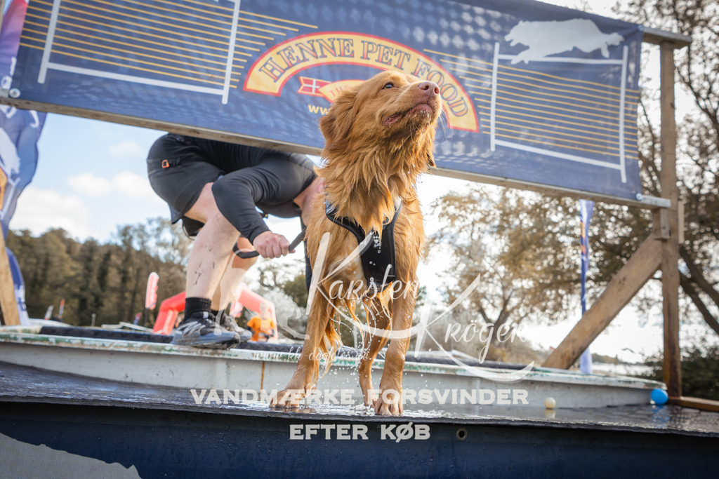 1324_ZZ90581-2 | kk-dogfotos