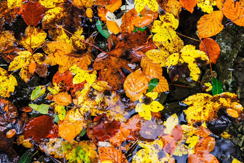 GT2A2192 | ap-design // andreas plenk - Realisiert mit Pictrs.com