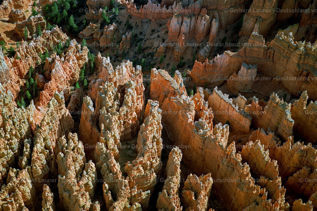 USA5749 | Bryce Canyon, Utah, USA, 1999