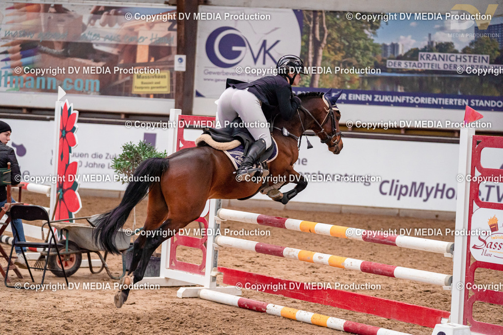 Kranichstein II Tag 1-199 | dv-media-shop - Realisiert mit Pictrs.com