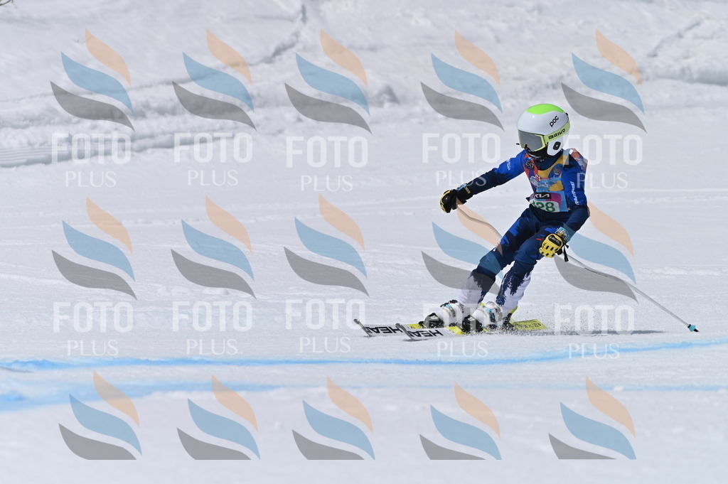 BGV_6505 | holidayphoto