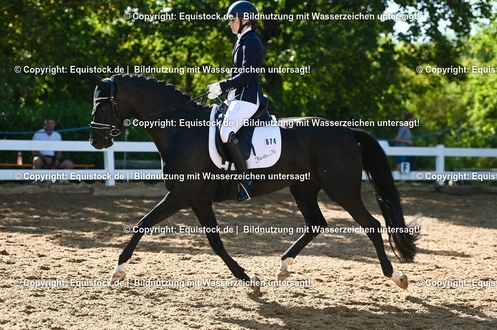 20230715_06_Dressurpferdeprfg. Kl.A_0250 | equistock