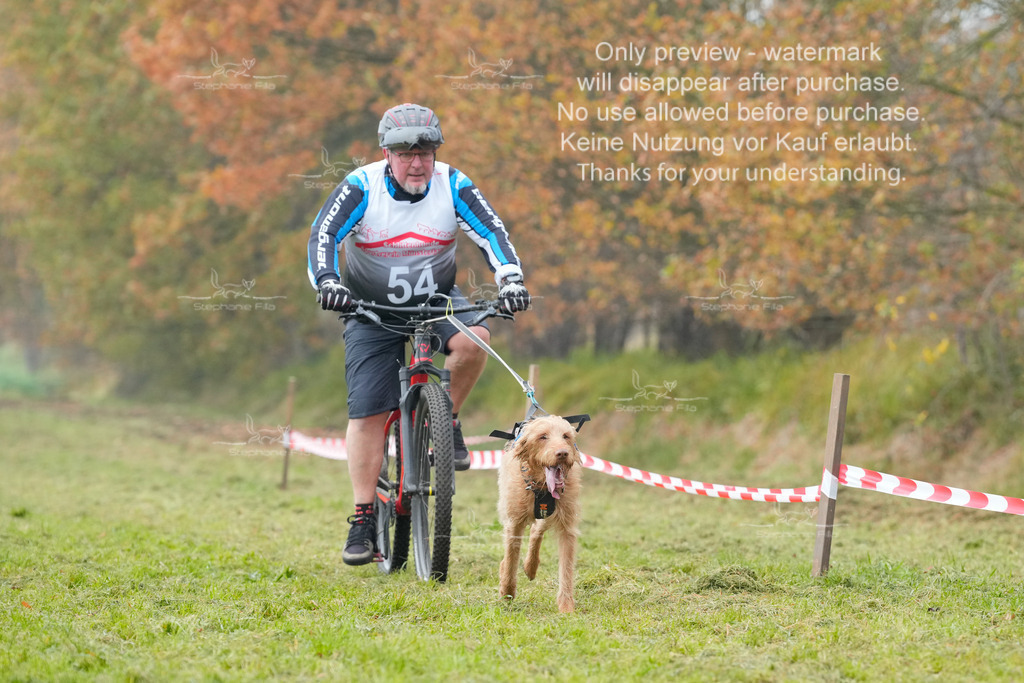 Visbeck_Sa_Bike-101 | stephaniefillaphotographie - Realisiert mit Pictrs.com