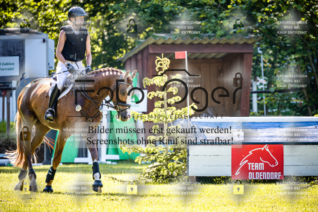2026-05 - Melle Oldendorf-3-0063 | Entdecke hochwertige Reitturnierfotos von Foto Oger. Professionell, emotional und authentisch – jetzt Lieblingsmomente im Shop bestellen.Deutschlandweite Turnierfotografie. - Realisiert mit Pictrs.com