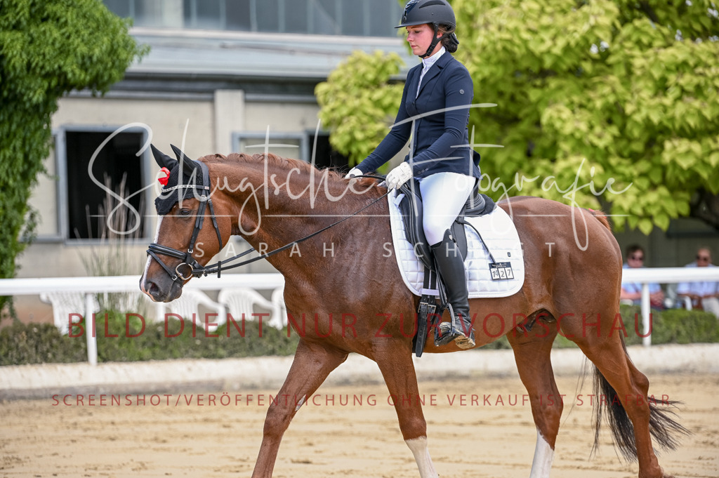Schugtsche-Aluta25-48.Reitpferfdeprf.-174 | Schugtsche Fotografie - Realisiert mit Pictrs.com