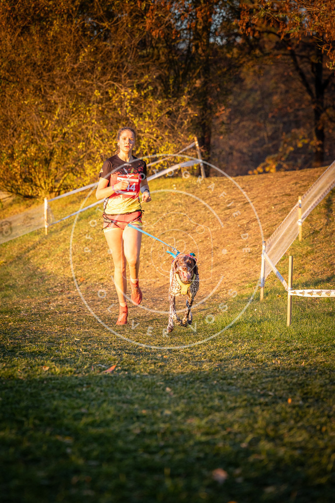 CaniXpix_0L8A1926 | Hundefotografie, Tierfotograf, Pfotenfotografie, Fotoshooting Hund, Hunde Portrait, Hundesport, Hundeportraits, Heideshooting, Hunde, Sportfotograf, Hundefotograf, Turnierhundsport, THS,  - Realisiert mit Pictrs.com