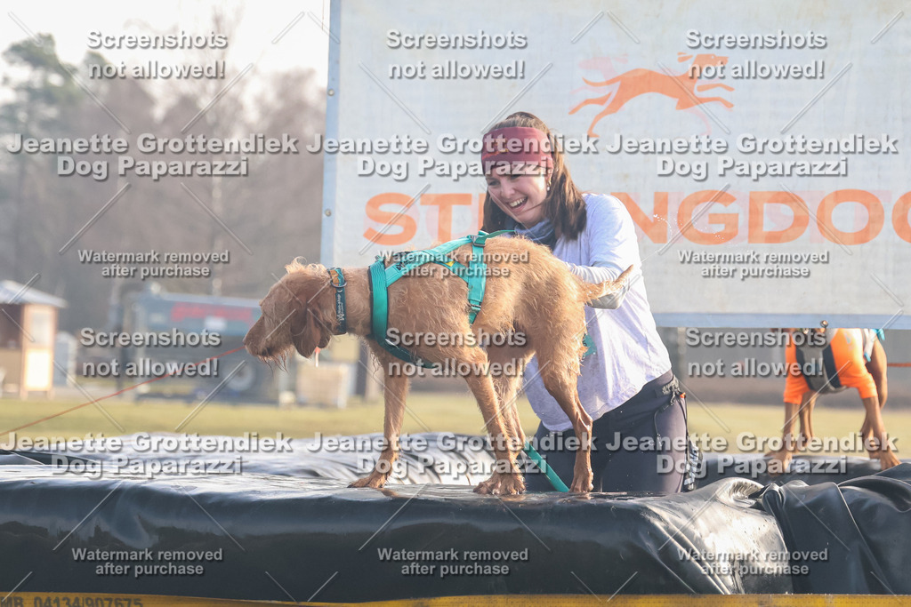 Dog Paparazzi - SD North 0326 900930-13 | Dog Paparazzi Jeanette Grottendiek Fotografie & Videografie - Realisiert mit Pictrs.com