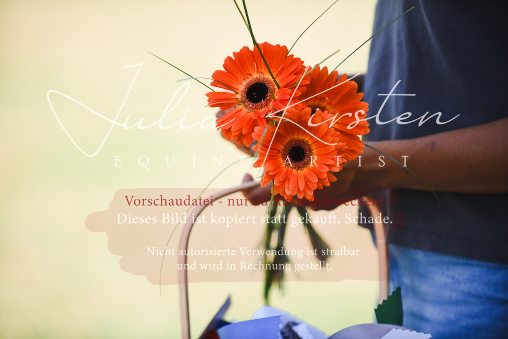 DSC_2603 | Pferde- und Turnierfotografie in Westsachsen. Pferdeportraits, Auftragszeichnungen und intuitive Kunst.