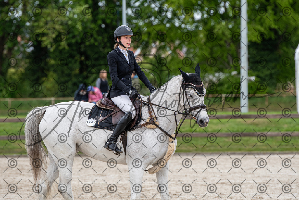 KPT_9950 | andre_photographic