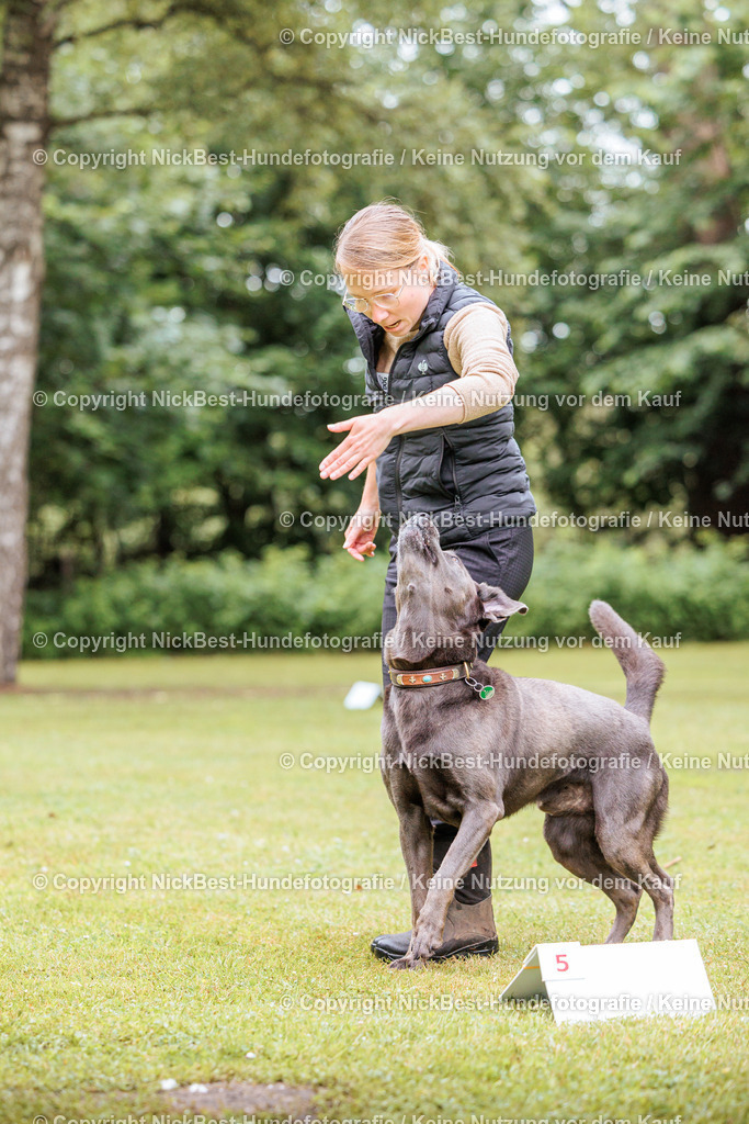 RO-Blumenthal-2026-Nickbest-Hundefotografie-1033 | Dein Hund! Dein Moment! Deine Erinnerungen! Hundefotografie in Bremen Blumenthal. Ich fange die besonderen Momente deines Vierbeiners ein – ob Indoor mit Blitzanlage oder in der freien Natur. Sicher dir dein Moment und dein Termin für eure Erinnerungen.