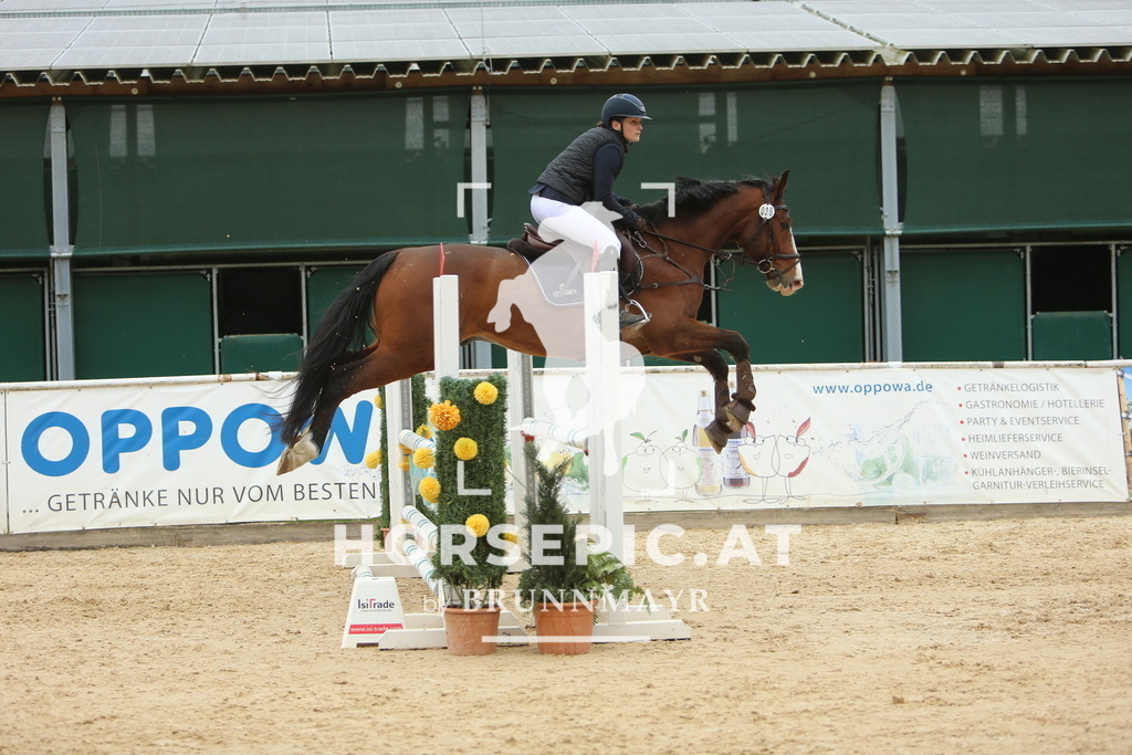 DL2Q6088 | Willkommen bei Brunnmayr - Design & Fotografie – Ihrem Spezialisten für Reitturniere und Pferdeveranstaltungen in Oberösterreich, Salzburg und Bayern! Seit über 17 Jahren sind wir leidenschaftlich dabei.