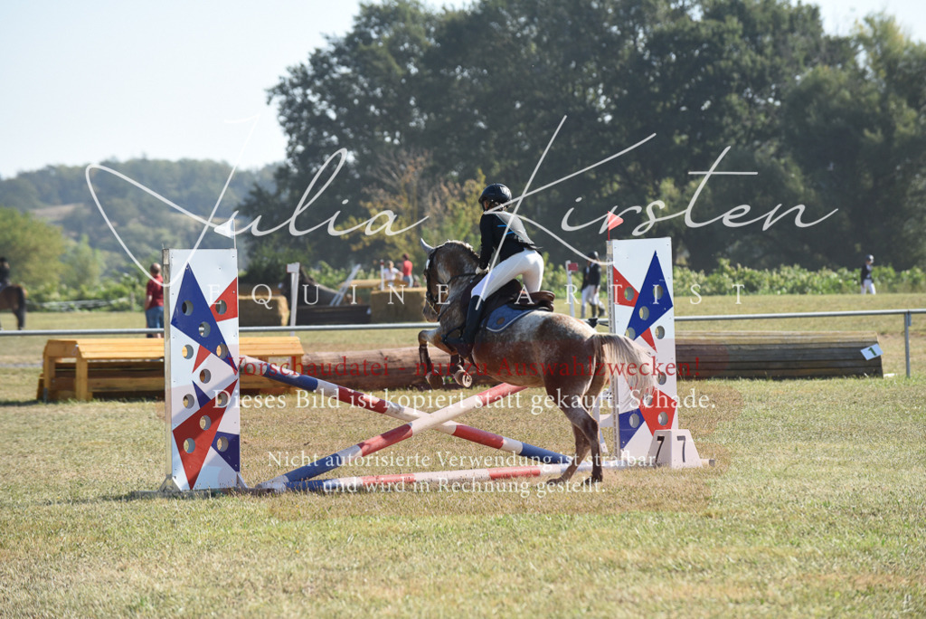 DSC_5905 | Pferde- und Turnierfotografie in Westsachsen. Pferdeportraits, Auftragszeichnungen und intuitive Kunst.