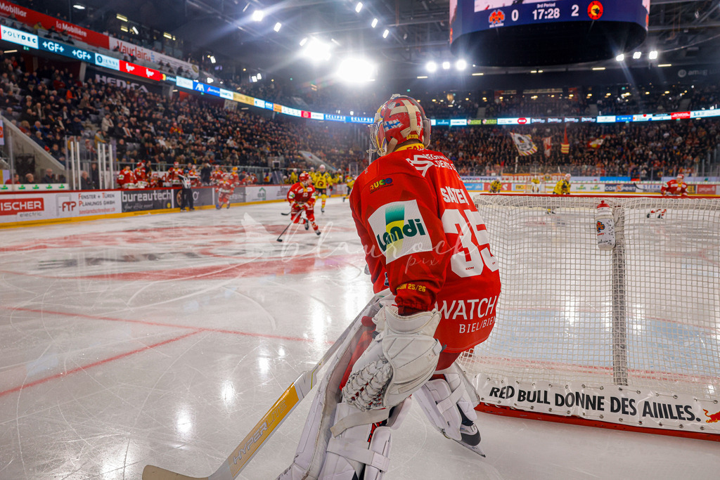 EHCB vs SCB 20260110_wb-3467 | Sportbilder, Sportfotograf, Hochzeits- und Eventfotografin, Flugshows, Portraits und Tiershooting, Aviation, Downhill, Nationalleague, Swissleague, International