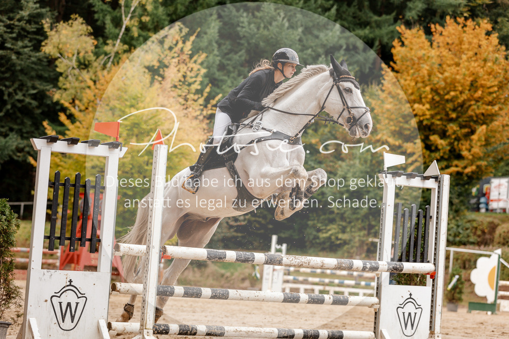 3I6A6889 | Stimmungsvolle Portraits und Reitsportfotografie im Ruhrgebiet und im Münsterland.

Pferdefotografie, Hundefotografie, Tierfotografie, Reportagen, Portraits von Tier und Mensch, Turnierfotografie in Bochum, Recklinghausen, Marl, Haltern am See, Dülmen.. - Realisiert mit Pictrs.com