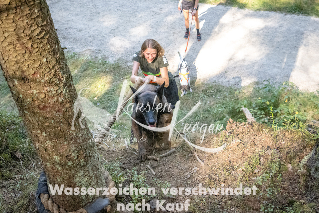 1110_ZZ94840 | kk-dogfotos