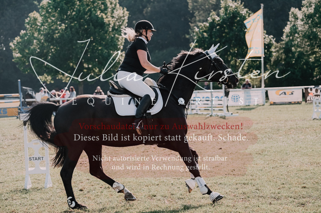 DSC_4760 | Pferde- und Turnierfotografie in Westsachsen. Pferdeportraits, Auftragszeichnungen und intuitive Kunst.