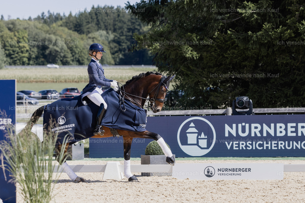 FHC2026_P12_Siegerehrung_19595 | working equitationturnier fotograf videograf stoibphotography marixx film working equitation deutschland reitsport turnierfotografie eventfotografie equestrian events