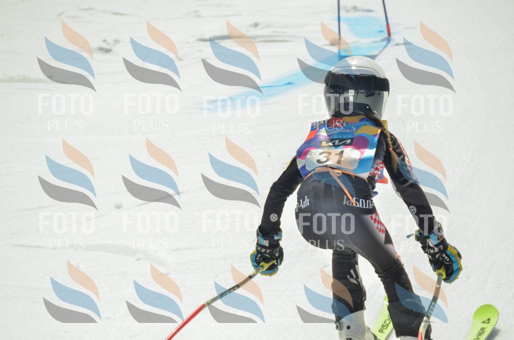 _ELE4887 | holidayphoto