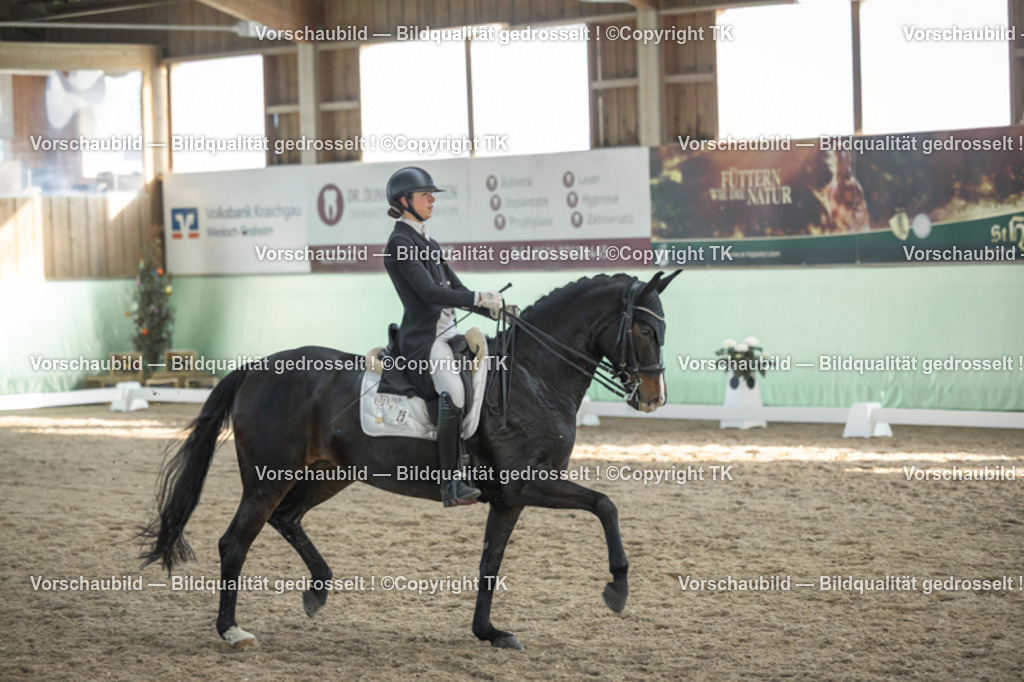 _D5A0620 | Emotionale Pferde- & People-Fotografie rund um Heidelberg, Leimen & Umgebung. Natürliche Fotos von Pferd, Mensch & Familie. Jetzt Termin sichern!