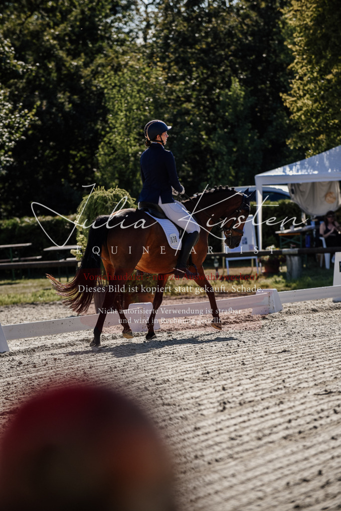 DSC_0260 | Pferde- und Turnierfotografie in Westsachsen. Pferdeportraits, Auftragszeichnungen und intuitive Kunst.