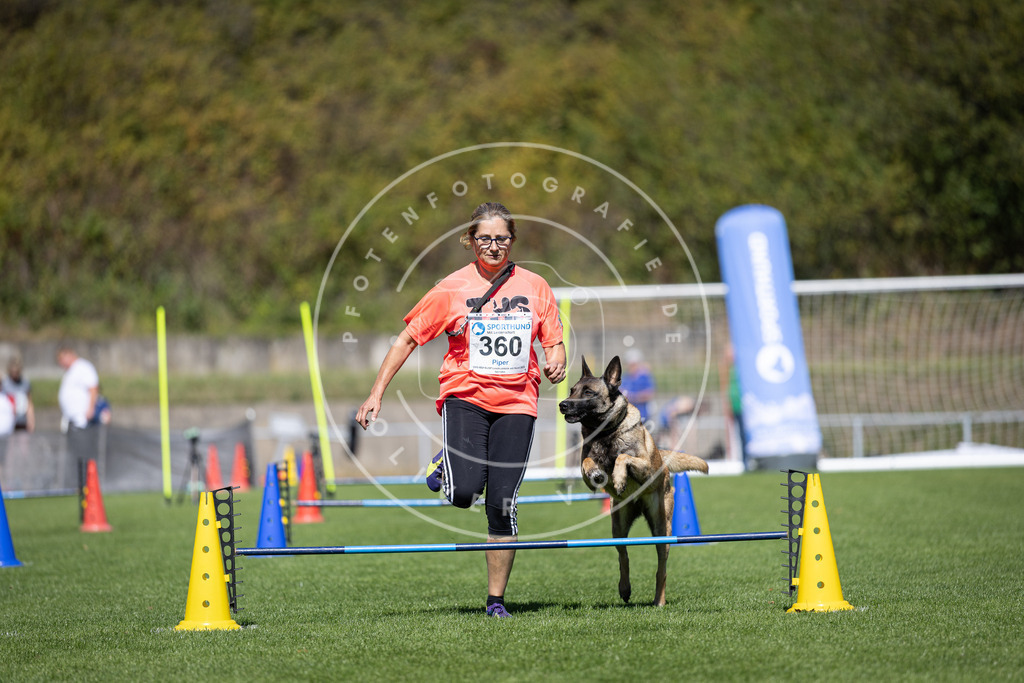 Pfotenfotografie_DV3A6609 | Hundefotografie, Tierfotograf, Pfotenfotografie, Fotoshooting Hund, Hunde Portrait, Hundesport, Hundeportraits, Heideshooting, Hunde, Sportfotograf, Hundefotograf, Turnierhundsport, THS,  - Realisiert mit Pictrs.com
