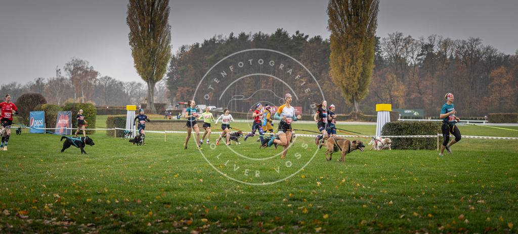 CaniXpix_DV3A8851 | Hundefotografie, Tierfotograf, Pfotenfotografie, Fotoshooting Hund, Hunde Portrait, Hundesport, Hundeportraits, Heideshooting, Hunde, Sportfotograf, Hundefotograf, Turnierhundsport, THS,  - Realisiert mit Pictrs.com
