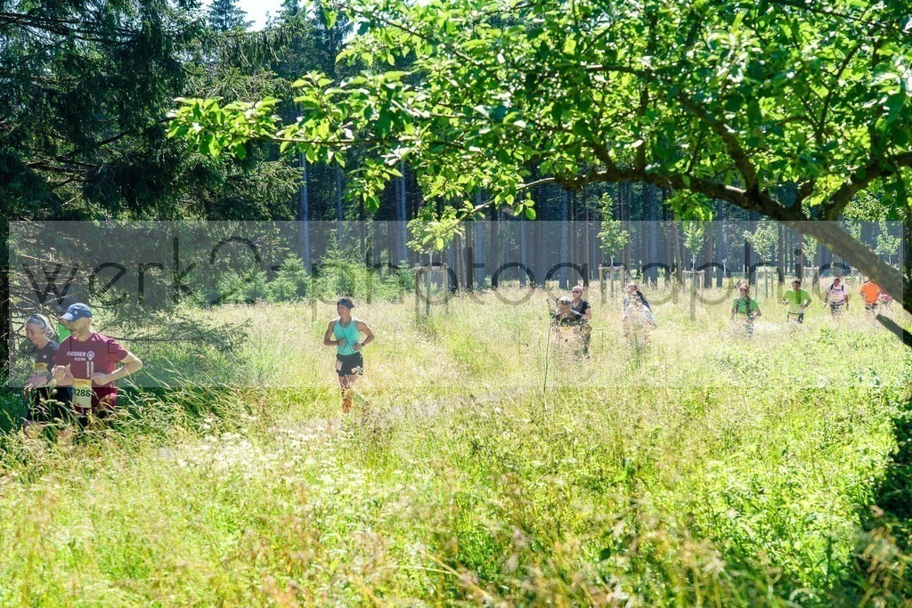 Schneekopflauf 2024 | Am 6. Juli 2024 startete der 21. Schneekopflauf von Schmiedefeld zum Schneekopf.