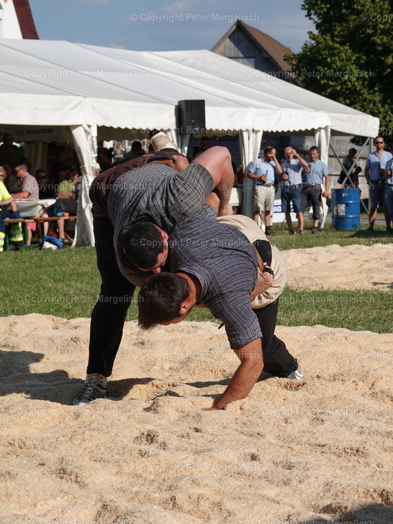 DSC05195 | Schwingen - Realisiert mit Pictrs.com
