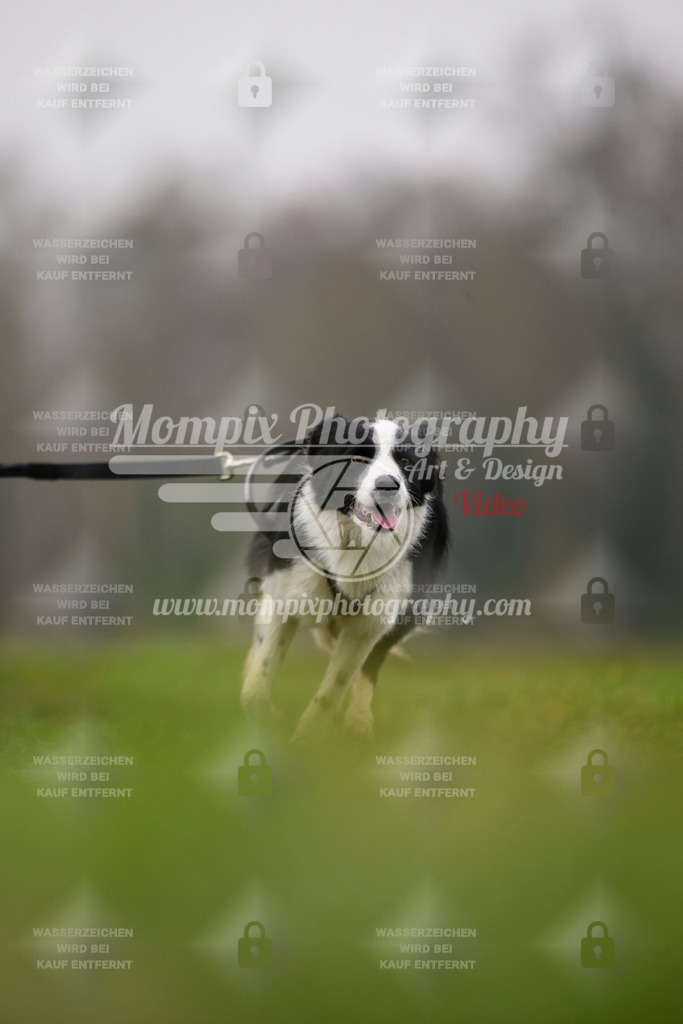MompixPhotography_CDF2023_FFST_Di_Bike1-134 | PayLife