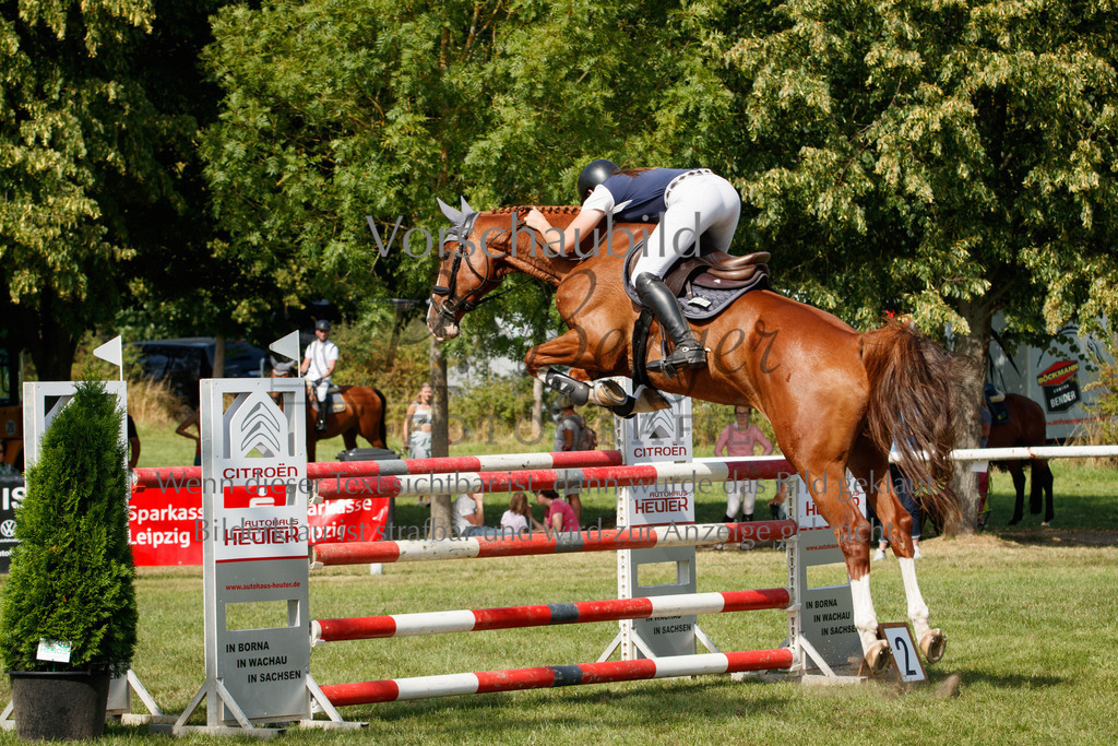 IMG_3689 | P. Berger Fotografie - Realisiert mit Pictrs.com