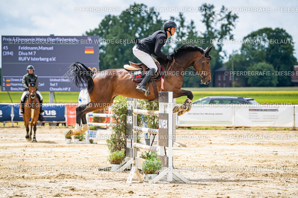 DSC04735 | Pferdegrafie