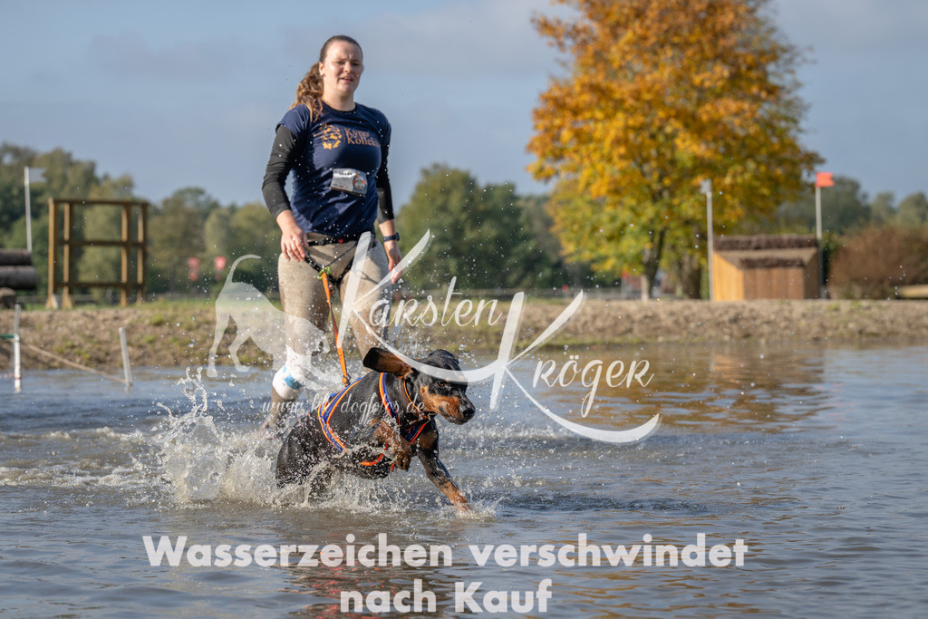 1103_ZZ91240 | kk-dogfotos