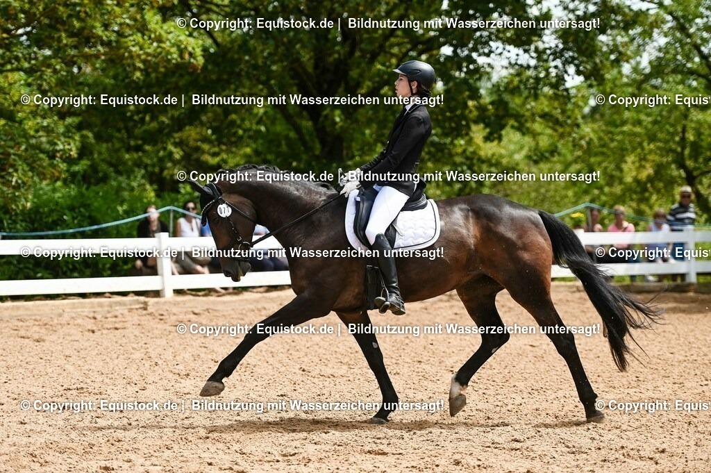 20230716_03_Dressurprfg. Kl.L - Tr._0567 | equistock