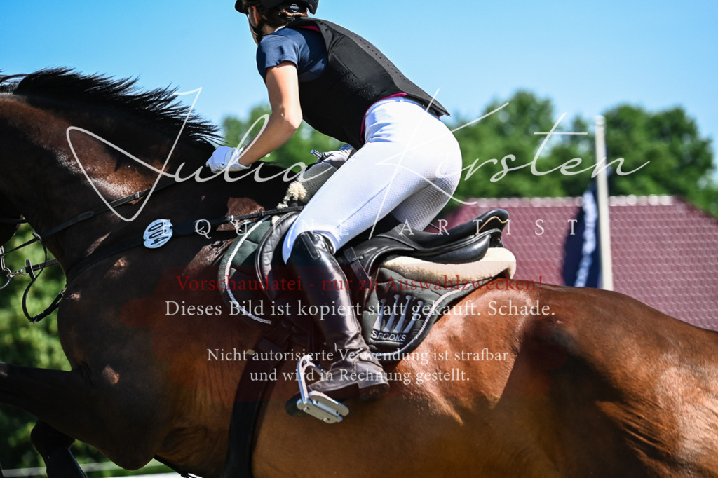 DSC_1599 | Pferde- und Turnierfotografie in Westsachsen. Pferdeportraits, Auftragszeichnungen und intuitive Kunst.