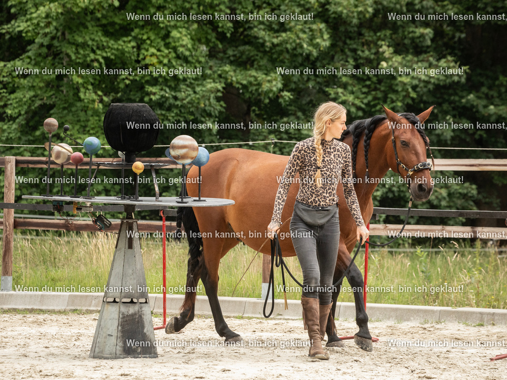 598A6615 | photographylinaismer - Realisiert mit Pictrs.com